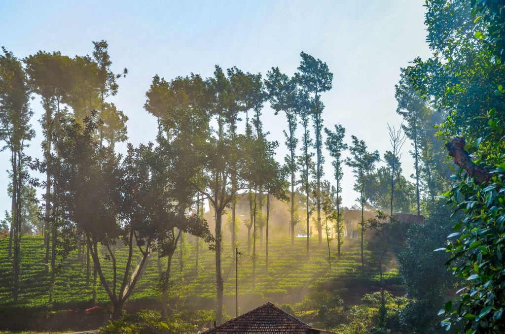 Mangalore, Karnataka